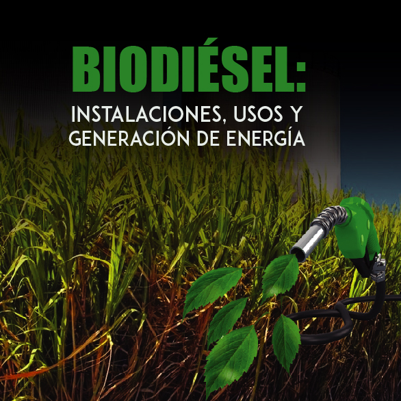 Biodiésel: Instalaciones, Usos y Generación de Energía