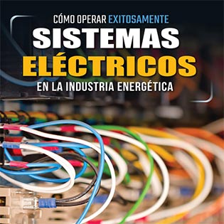 Cómo Operar Exitosamente Sistemas Eléctricos en la Industria Energética