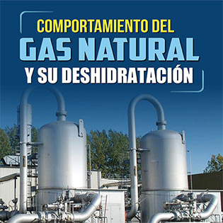 Comportamiento del Gas Natural y su Deshidratación