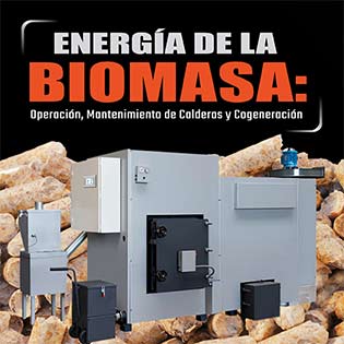Energía de la biomasa: Operación, mantenimiento de calderas y cogeneración.