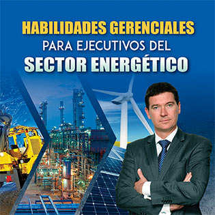 Habilidades gerenciales para ejecutivos del sector energético