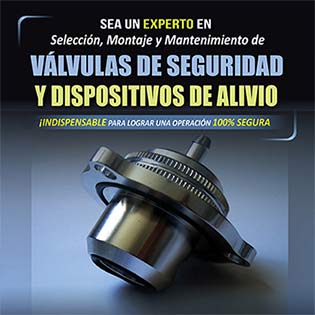 Sea un Experto en Selección, Montaje y Mantenimiento de Válvulas de Seguridad y Dispositivos de Alivio