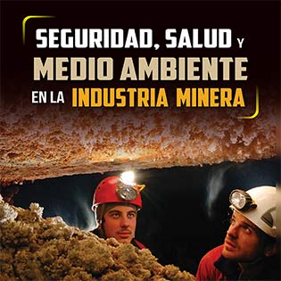 Seguridad, salud y medio ambiente en la industria minera