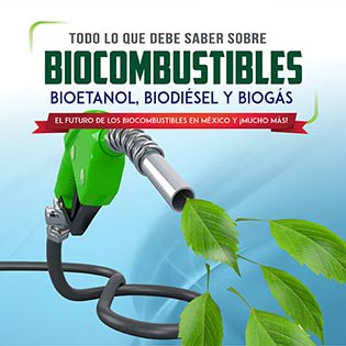 Todo lo que debe saber sobre biocombustibles. Bioetanol, biodiesel y biogás