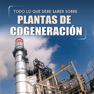 Todo lo que debe saber sobre plantas de cogeneración